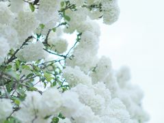 -湖南烈士公园(芙蓉区)