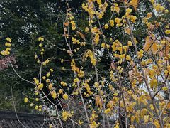 -成都杜甫草堂博物馆