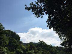 -火炉山森林公园