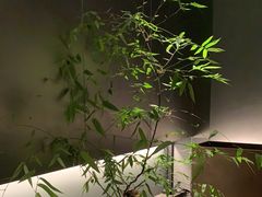 -望京辣宴·古法川菜(望京店)
