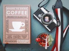 -喵屿·大理花园猫咖