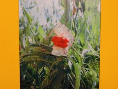 -chi K11艺术空间展览厅