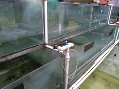 -芸海阁·农家私房菜(沙家浜景区出口店)