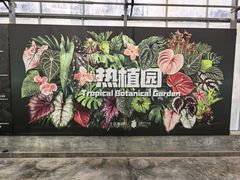 -上海鲜花港