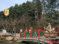 -秀丽东方