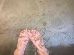 -咸宁万豪温泉谷度假区