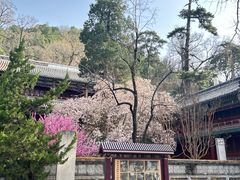 -潭柘寺景区
