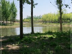 -东郊湿地公园
