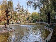-西安市长乐公园