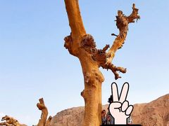 -火焰山景区(火焰山镇)