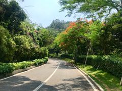 -仙岳公园