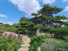 -罗红摄影艺术馆