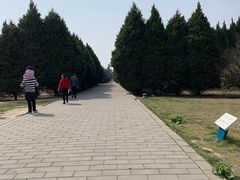 -秦始皇帝陵博物院-丽山园