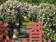 -武汉园博园(武汉自然博物馆)