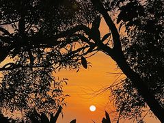 -广州市白云山风景名胜区