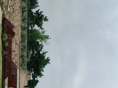 -莫子山公园