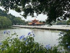 -荔枝公园(福田区)