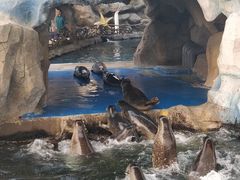 -华夏文旅海洋公园