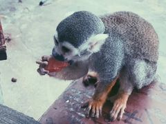 -鄂尔多斯野生动物园