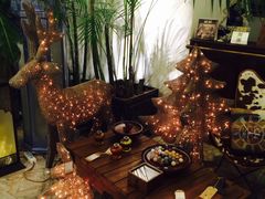 -RGF(巨鹿路店)