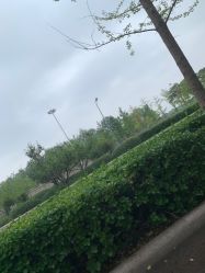 -HEYAN长风荷妍专业脱毛美肤
