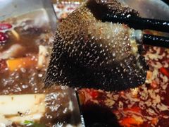 -湊湊火锅·茶憩(新中关购物中心店)