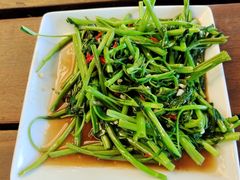 -Green Tree Rest. & Pub