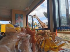 -西霞口神雕山野生动物世界