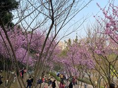 -重庆彩云湖湿地公园