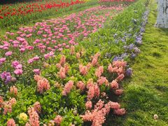 -上海鲜花港