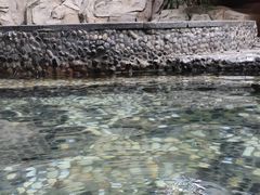 -海口观澜湖火山温泉谷