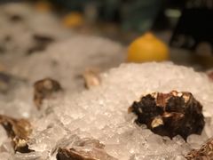 -Oyster Talks 四度蚝法餐厅