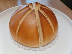 -连鹭海鲜·海肠捞饭·海胆饭(星海店)