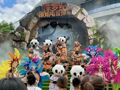 -灵玲国际马戏城