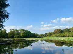 -长广溪湿地公园