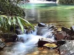 -羚羊峡古栈道森林公园