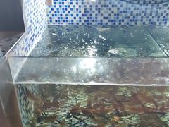 -顺德了能馆(虎门店)