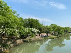 -西溪国家湿地公园