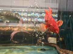 -龙宴海鲜城(经中路店)