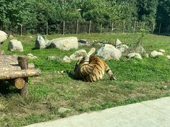 -西安秦岭野生动物园