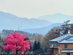 -吉林市朱雀山国家森林公园