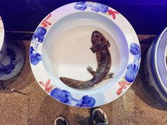 -鸽子张·家宴(黄辛庄旗舰店)