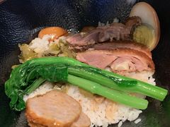 -MR鹅外