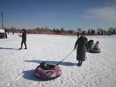 -绿野森林乐园冰雪季