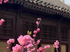 -国家植物园