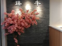 -臻牛烤肉