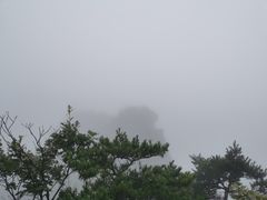 -大连天门山国家森林公园