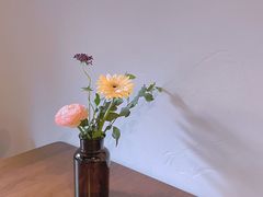 -竹子咖啡bamboo coffee