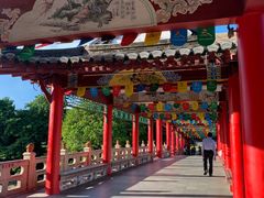 -深圳龙潭公园