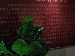 -富侨养生(九亭店)
